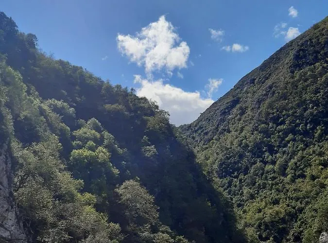 Puente Vidosa 2* Amieva